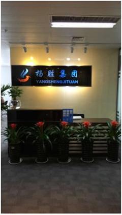 揚勝集團 擁抱“互聯網+”浪潮，以信息技術服務為企業發展助力護航